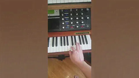 Moog Voyager