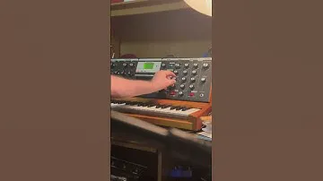 2013 Minimoog Voyager Demo
